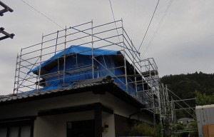 1画像