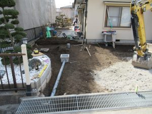 IMG_1513